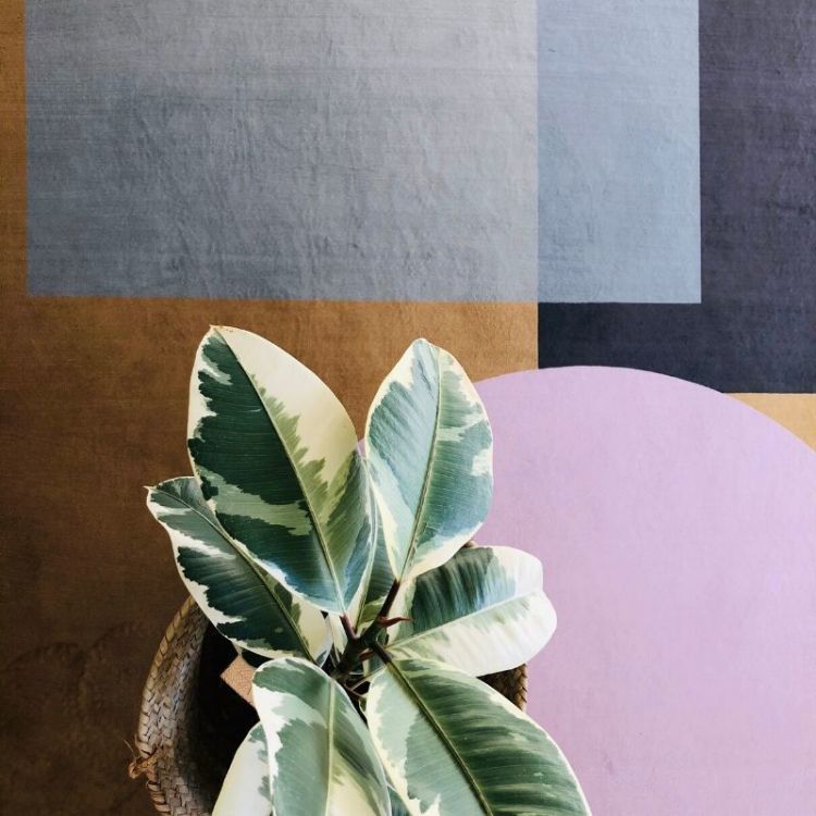 Picture of BAUHAUS BLUSH (PRINTED RUG)