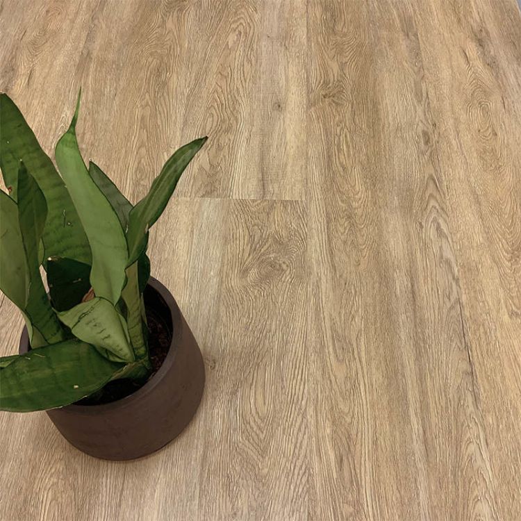 Picture of DESERT OAK - LEMETT (LUXURY VINYL, GLUE DOWN)