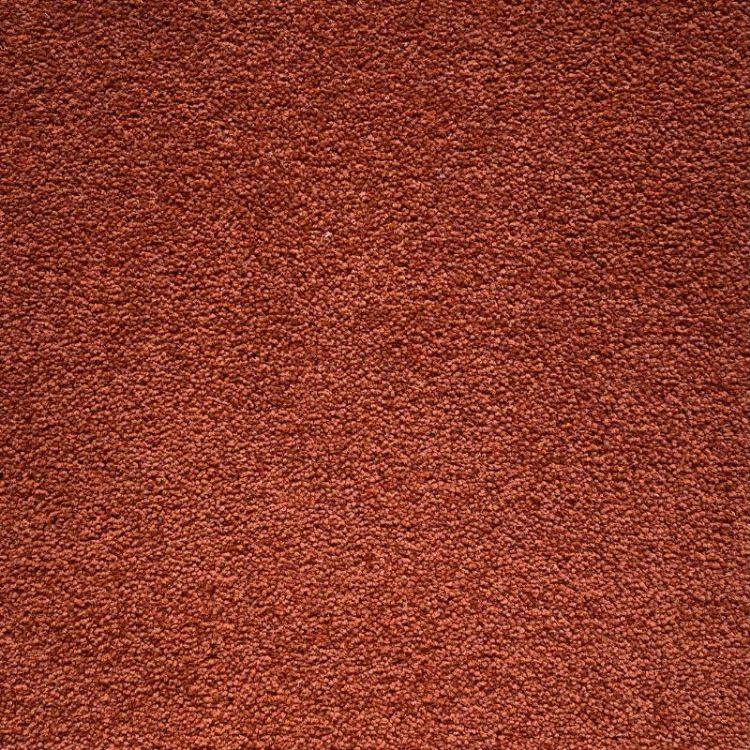 Picture of Westminster Perma